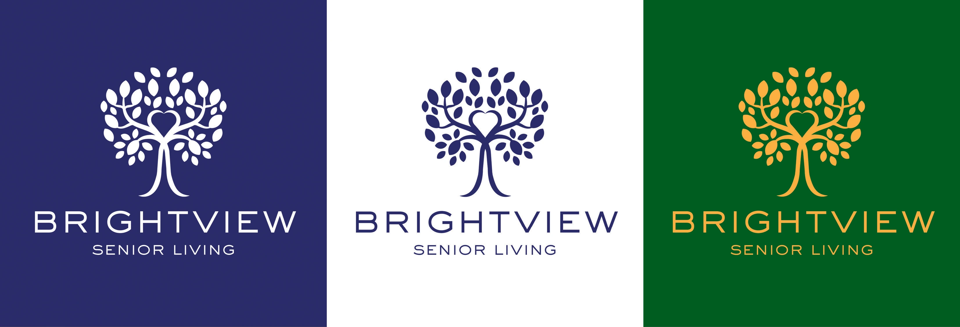 Brightview Logo Redesign